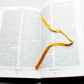 Библия с неканоническими книгами 045 DC (зеленый переплет из искусственной кожи, золотой обрез)